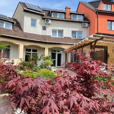 Illaberek Panzio 게스트하우스 4*