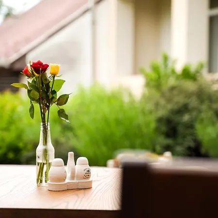 Illaberek Panzio 4* Eğri